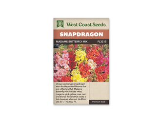 Sachet West Coast Seeds illustré par une photo de mufliers. Plusieurs épis de mufliers doubles se regroupent dans l’image. Des fleurs roses se trouvent à gauche, avec des fleurs jaunes au centre et des tons rouges, orangés et blancs autour. Les pétales sont froncés et serrés le long des tiges. Des boutons verts prolongent les sommets, au-dessus des fleurs déjà ouvertes dans ce groupe coloré.