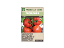 Sachet West Coast Seeds portant les mentions Tomatoes, Main Season et Caiman. La photo montre plusieurs grosses tomates rouges brillantes, avec des pédoncules verts, sur un fond clair mêlé de feuillage. Un logo biologique rond apparaît à droite. Le nom de la variété et le code TM839 figurent sous les bandeaux verts de la marque.
