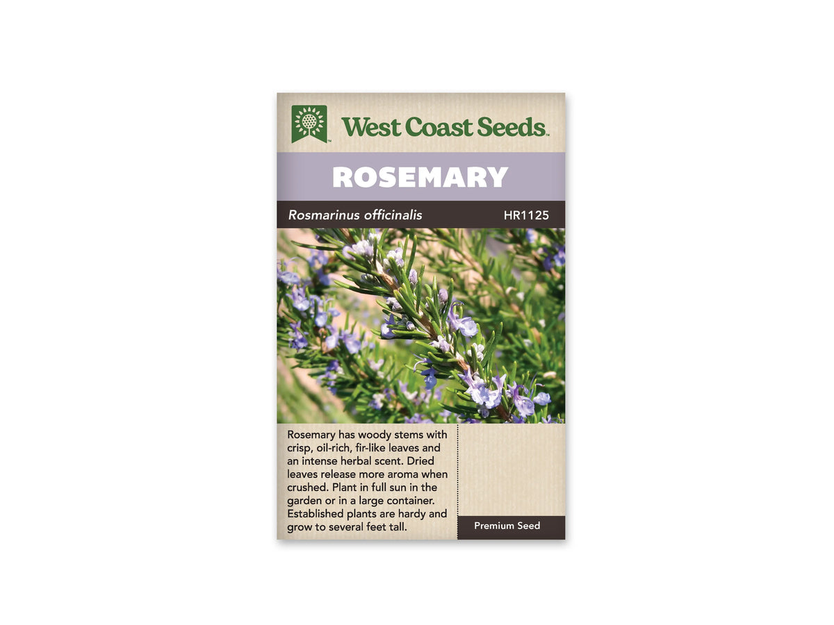 Sachet de romarin West Coast Seeds avec le nom Rosemary sur un bandeau mauve. La photo montre des branches couvertes de feuilles étroites et vertes, parmi de petites fleurs bleu violacé. Le feuillage remplit l’image centrale. Le logo vert apparaît en haut du sachet et un bloc de texte occupe la partie beige sous la photo.