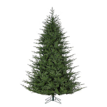 Sapin London