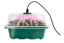 Ensemble mini-serre avec éclairage – 12 cellules sur fond blanc