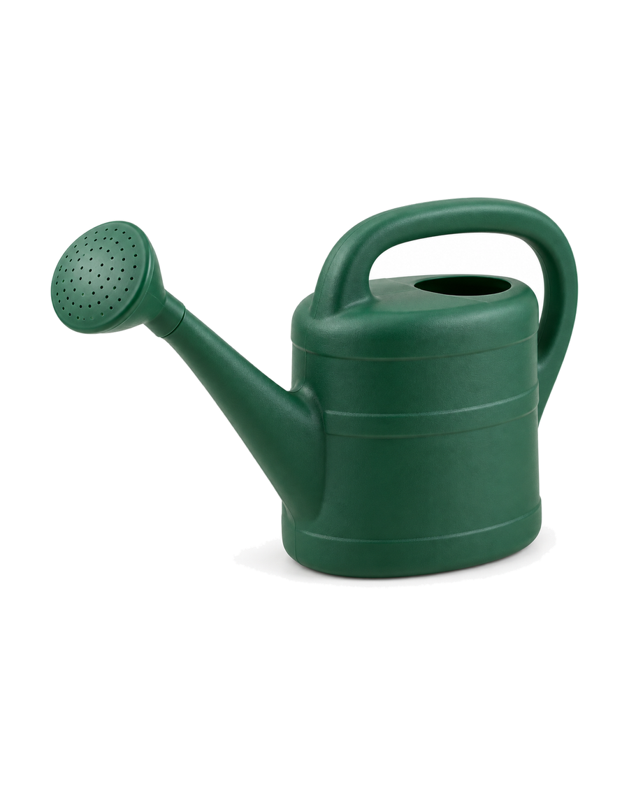 Arrosoir vert avec pomme d’arrosage – 8 L sur fond blanc