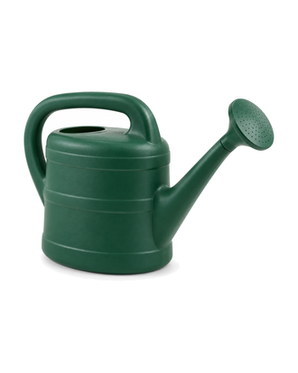 Arrosoir vert avec pomme d’arrosage – 10 L sur fond blanc