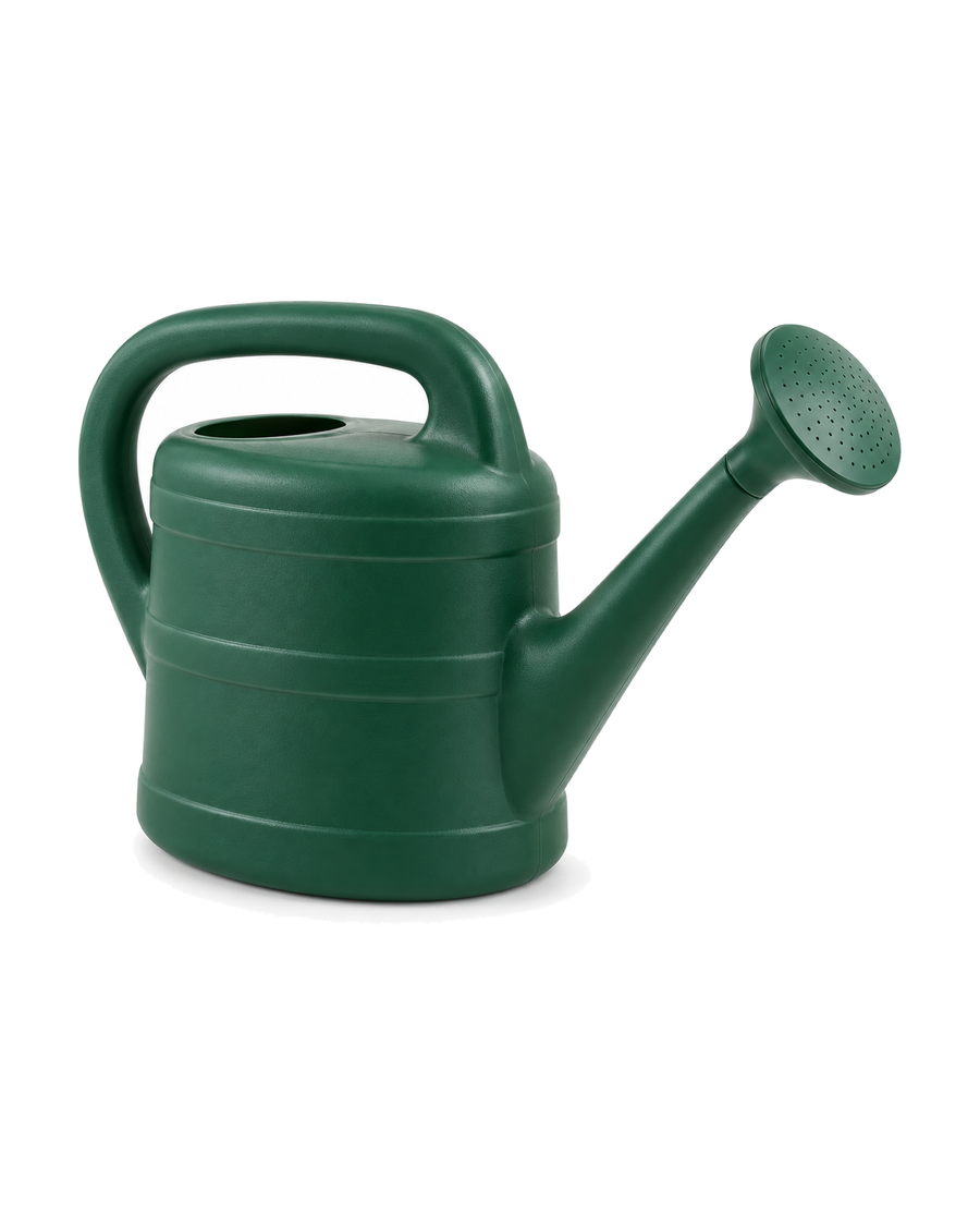 Arrosoir vert avec pomme d’arrosage – 10 L sur fond blanc