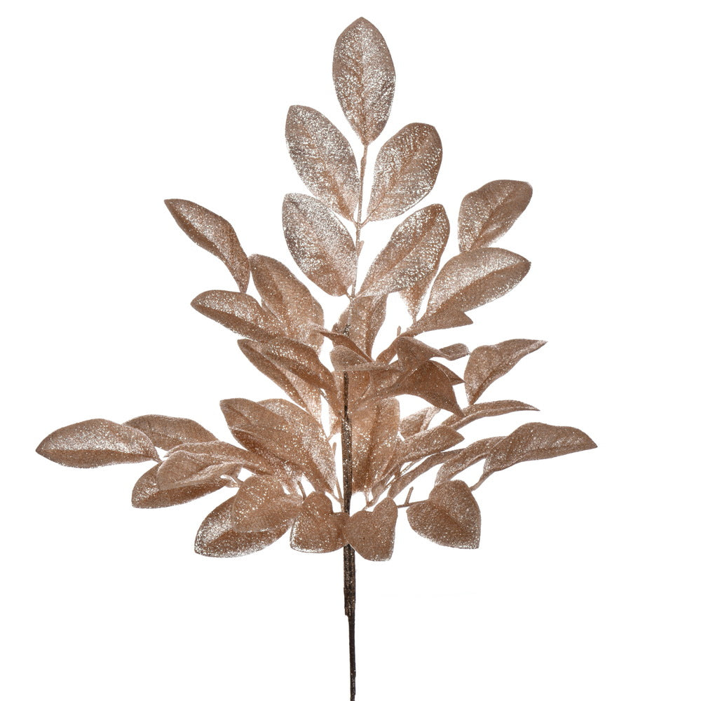 Buisson Pomme  Café  25"