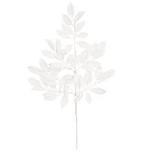 Spr Gardenia  Blanc  31"