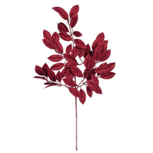 Spr Gardenia  Bourg.  31"