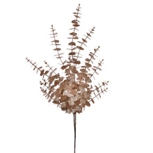Spr Eucalyptus  Café  28"