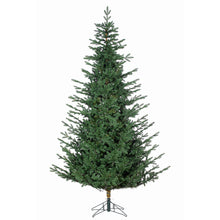 Sapin Mont Mégantic