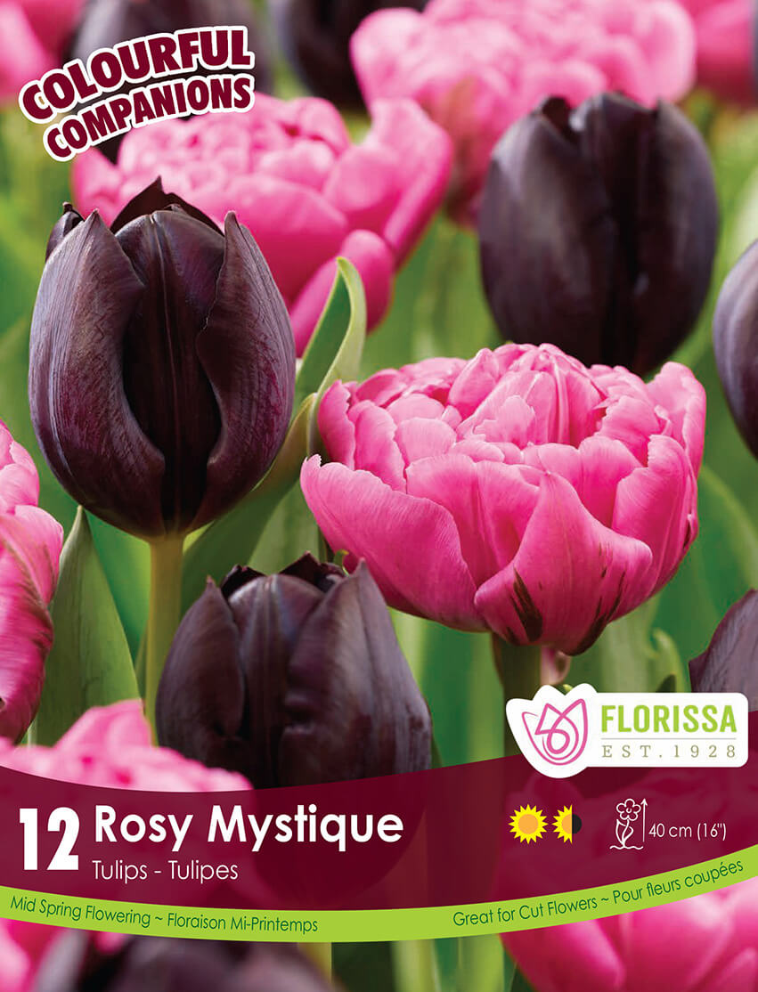Rosy Mystique Floral Harmony