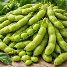 Fève de soya 'Besweet'
