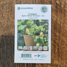 Sachet de semences Fraise alpine Yellow Wonder. Emballage blanc photographié de face sur un fond de bois brun. Une image du végétal occupe la partie centrale, sous le nom imprimé. De petits pictogrammes et un code-barres apparaissent au bas du sachet. La marque Écoumène figure dans la partie supérieure de cette présentation.