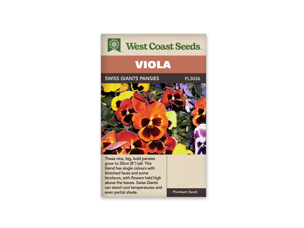 Sachet West Coast Seeds Swiss Giants Pansies montrant de grandes pensées orange, jaunes, violettes et blanches. Plusieurs fleurs portent des taches sombres au centre, au-dessus de feuilles vertes. Une fleur orange occupe le premier plan. Le nom du mélange figure dans le bandeau brun, sous le titre blanc sur fond cuivré.