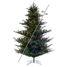 Sapin Sherwood  Vrt  9'  LED