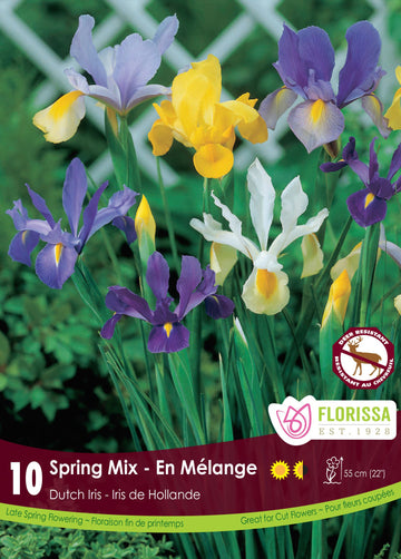 Dutch Iris Spring Mix