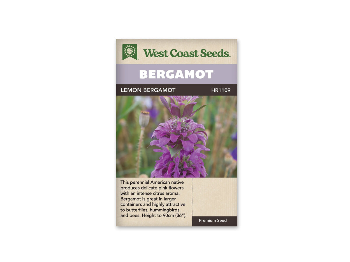 Sachet de monarde citronnée West Coast Seeds présenté de face sur fond blanc. La photographie centrale montre une tige portant plusieurs étages de fleurs et de bractées roses à pourpres, devant un arrière-plan de jardin flou. Le bandeau mauve indique BERGAMOT et la ligne foncée porte LEMON BERGAMOT. Un texte descriptif en anglais occupe la partie beige inférieure.