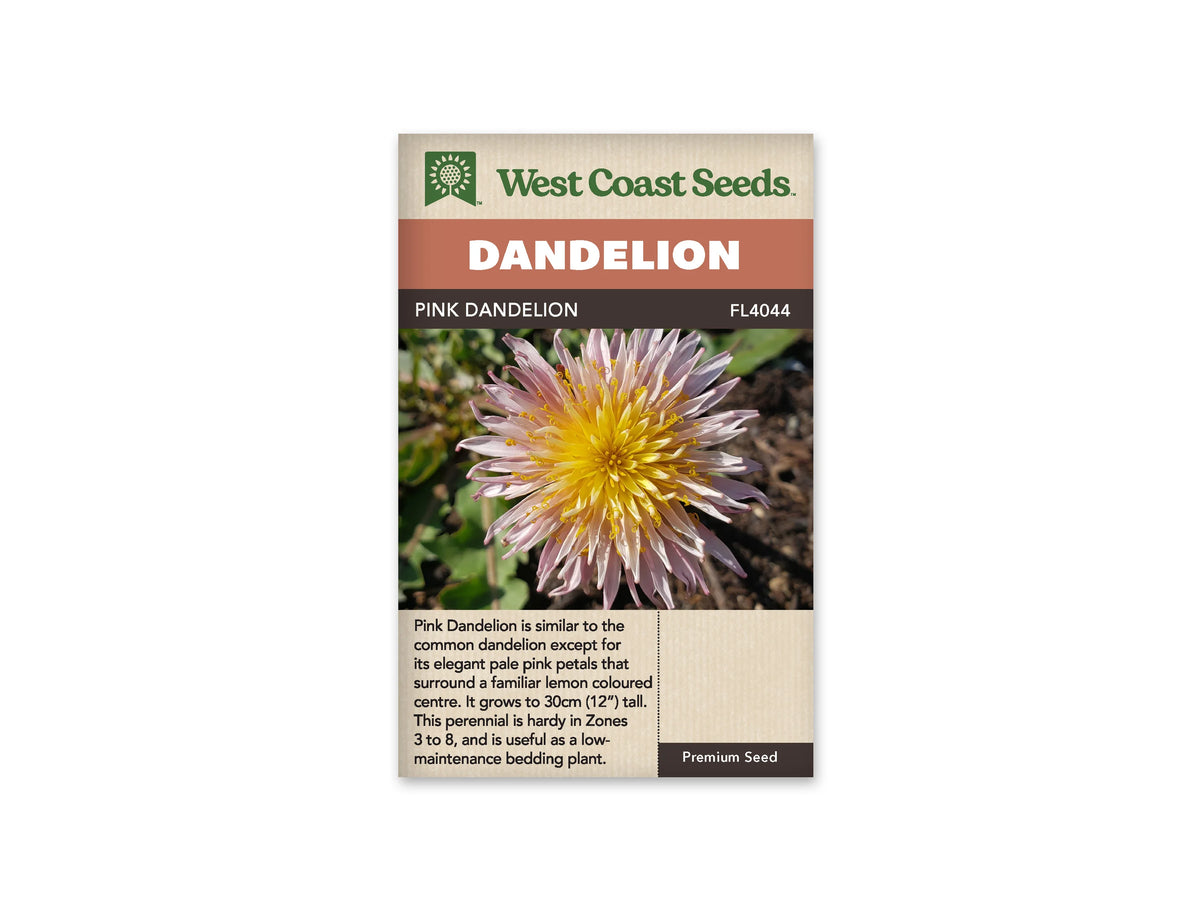 Sachet Pink Dandelion de West Coast Seeds sur fond blanc. Une fleur vue de près présente de nombreux éléments fins rose pâle autour d’un centre jaune lumineux. Des feuilles vertes et de la terre brune apparaissent derrière elle. Le bandeau orangé indique Dandelion; Pink Dandelion et la référence FL4044 figurent dans la bande brune.