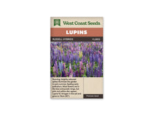 Sachet Russell Hybrids de West Coast Seeds sur fond blanc. La photo montre un grand groupe de lupins aux hampes bleues, violettes, roses et jaunes, parmi des feuilles vertes palmées. Les fleurs forment des épis dressés serrés les uns contre les autres. Le bandeau orange indique Lupins; la bande brune porte Russell Hybrids et le code FL2855.