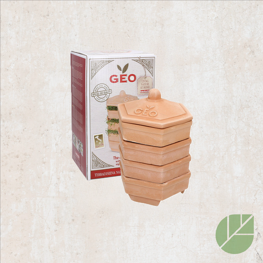 GEO terracotta germinator