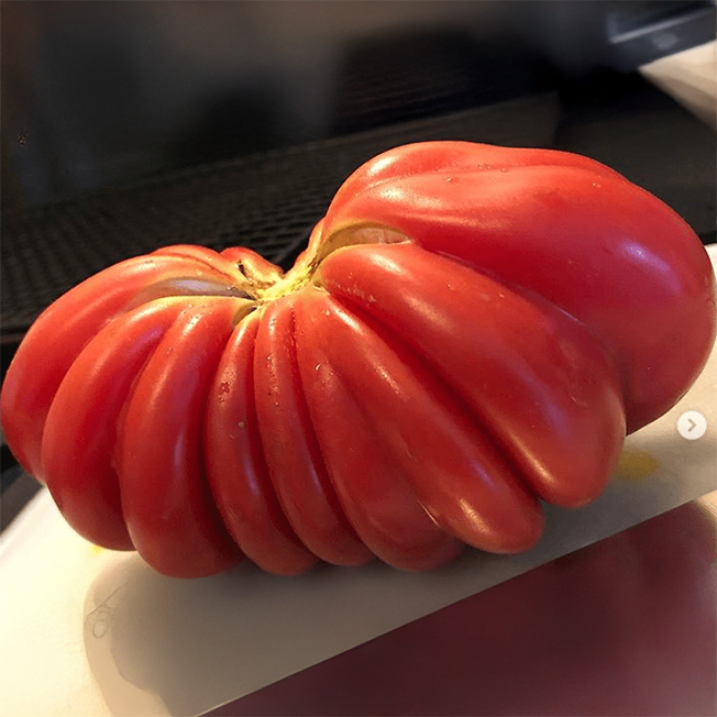 Tomato 'Gezahnte' organic