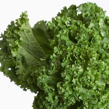 Moutarde frisée géantes du sud