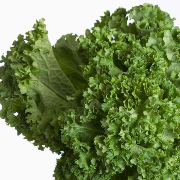 Moutarde frisée géantes du sud