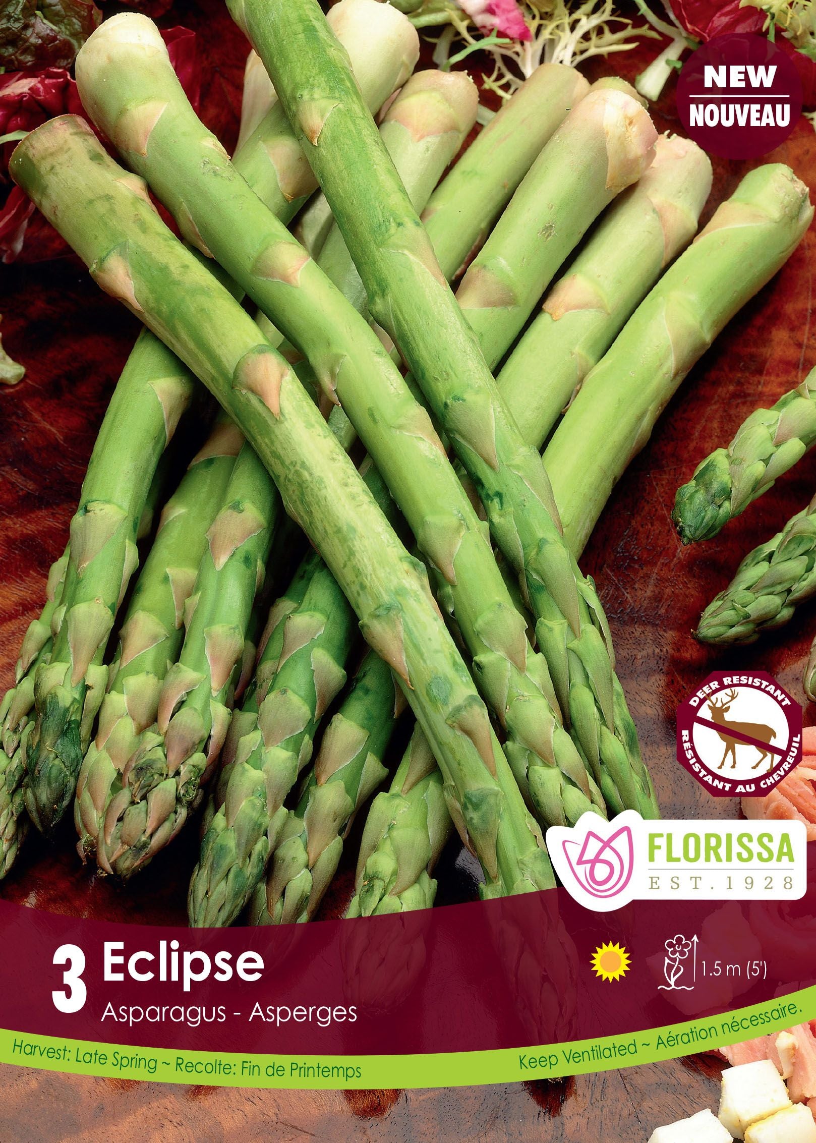 Asperge ‘Éclipse’ (<em>Asparagus officinalis</em> ‘Eclipse’)