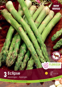 Asperge ‘Éclipse’ (<em>Asparagus officinalis</em> ‘Eclipse’)