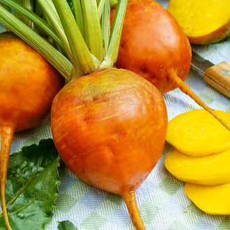 Des betteraves orange doré sont regroupées avec leurs longues tiges vertes. Une racine du premier plan porte des côtes discrètes et se prolonge par une pointe fine. Des tranches jaunes apparaissent à droite, près d’une surface claire. Des feuilles vertes et un support tissé gris encadrent les légumes, avec des reflets sur les peaux orangées.