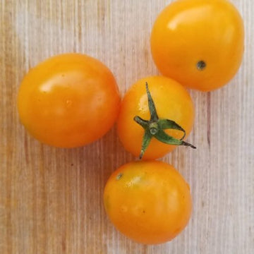 Organic 'Yellow Mix' Tomato