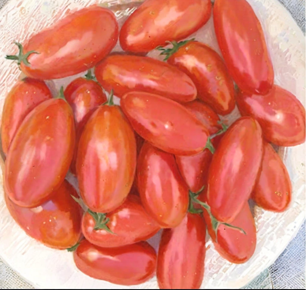 Tomate 'Grandma Mary Paste' bio