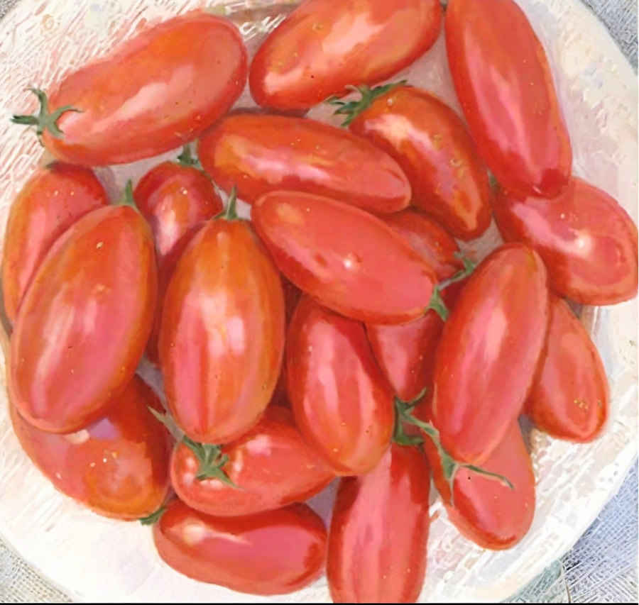 Organic 'Grandma Mary Paste' tomato
