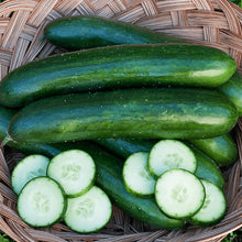 Organic 'Green Finger' Cucumber