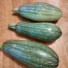 Organic 'Grey Summer' Zucchini