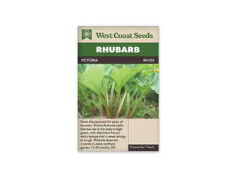 Sachet West Coast Seeds Victoria montrant une touffe de rhubarbe au jardin. De grands pétioles verts, teintés de rouge près du sol, portent des feuilles larges aux nervures claires. Les feuilles se déploient au-dessus de la terre. Le nom Victoria figure dans le bandeau brun sous le titre blanc sur fond vert.