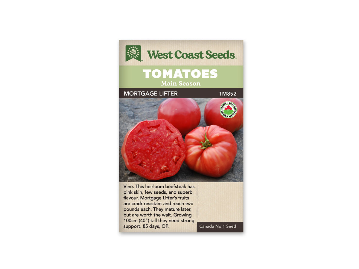 Sachet West Coast Seeds portant les mentions Tomatoes, Main Season et Mortgage Lifter. La photo montre de grosses tomates roses à rouges, dont une est coupée pour révéler une chair dense, sur un fond gris. Un logo biologique rond apparaît à droite. Le nom et le code TM852 figurent sous les bandeaux verts de la marque.