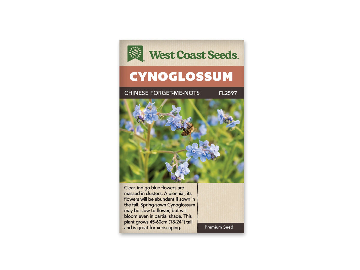 Sachet Chinese Forget-Me-Nots de West Coast Seeds sur fond blanc. De petites fleurs bleues à cinq lobes sont réunies sur des tiges ramifiées, avec des boutons violets et un fond de feuillage vert flou. Une abeille se pose près d’une fleur. Le bandeau orangé indique Cynoglossum; la référence FL2597 apparaît dans la bande brune.