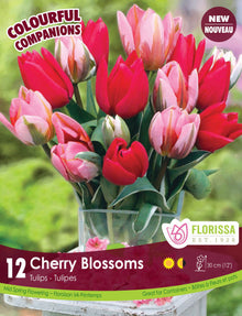 Harmonie Florale ‘Cherry Blossoms’ ( Tulipa spp.) : un bouquet de tulipes rouges, roses et blanches. Le visuel Florissa présente la plante et son nom dans la partie inférieure de l’étiquette. La photographie occupe presque toute la surface, tandis que le bandeau du bas rassemble les indications du produit. Cette vue permet de reconnaître son apparence et de distinguer la variété présentée.