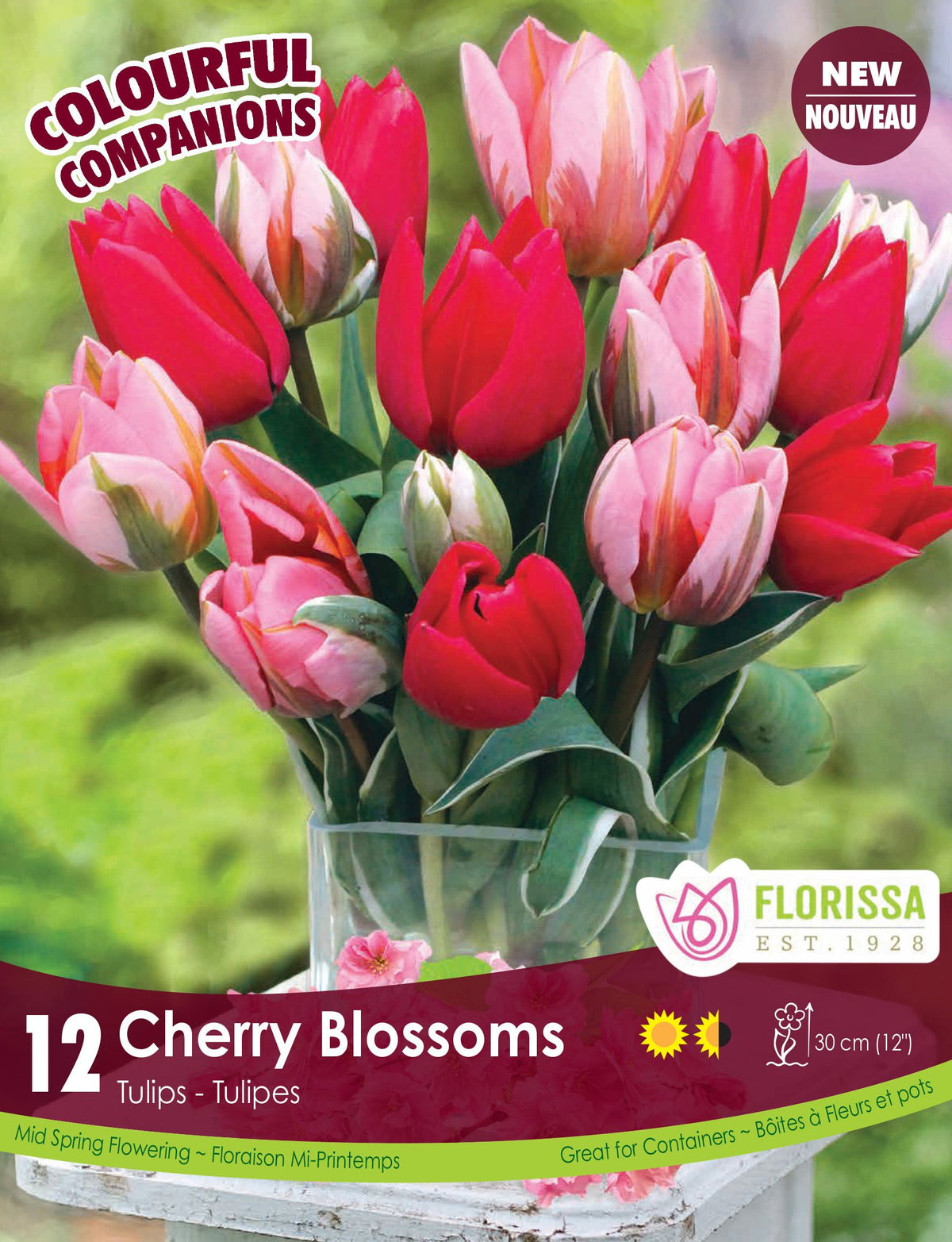 Harmonie Florale ‘Cherry Blossoms’ ( Tulipa spp.) : un bouquet de tulipes rouges, roses et blanches. Le visuel Florissa présente la plante et son nom dans la partie inférieure de l’étiquette. La photographie occupe presque toute la surface, tandis que le bandeau du bas rassemble les indications du produit. Cette vue permet de reconnaître son apparence et de distinguer la variété présentée.