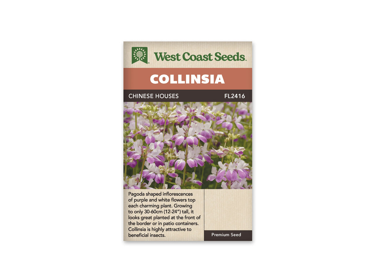 Sachet Chinese Houses de West Coast Seeds sur fond blanc. La photo montre de nombreuses petites fleurs blanches et violettes disposées en étages sur des tiges fines. Des boutons et des feuilles vertes apparaissent entre les fleurs. Le bandeau orangé indique Collinsia; Chinese Houses et la référence FL2416 se lisent dans la bande brune.