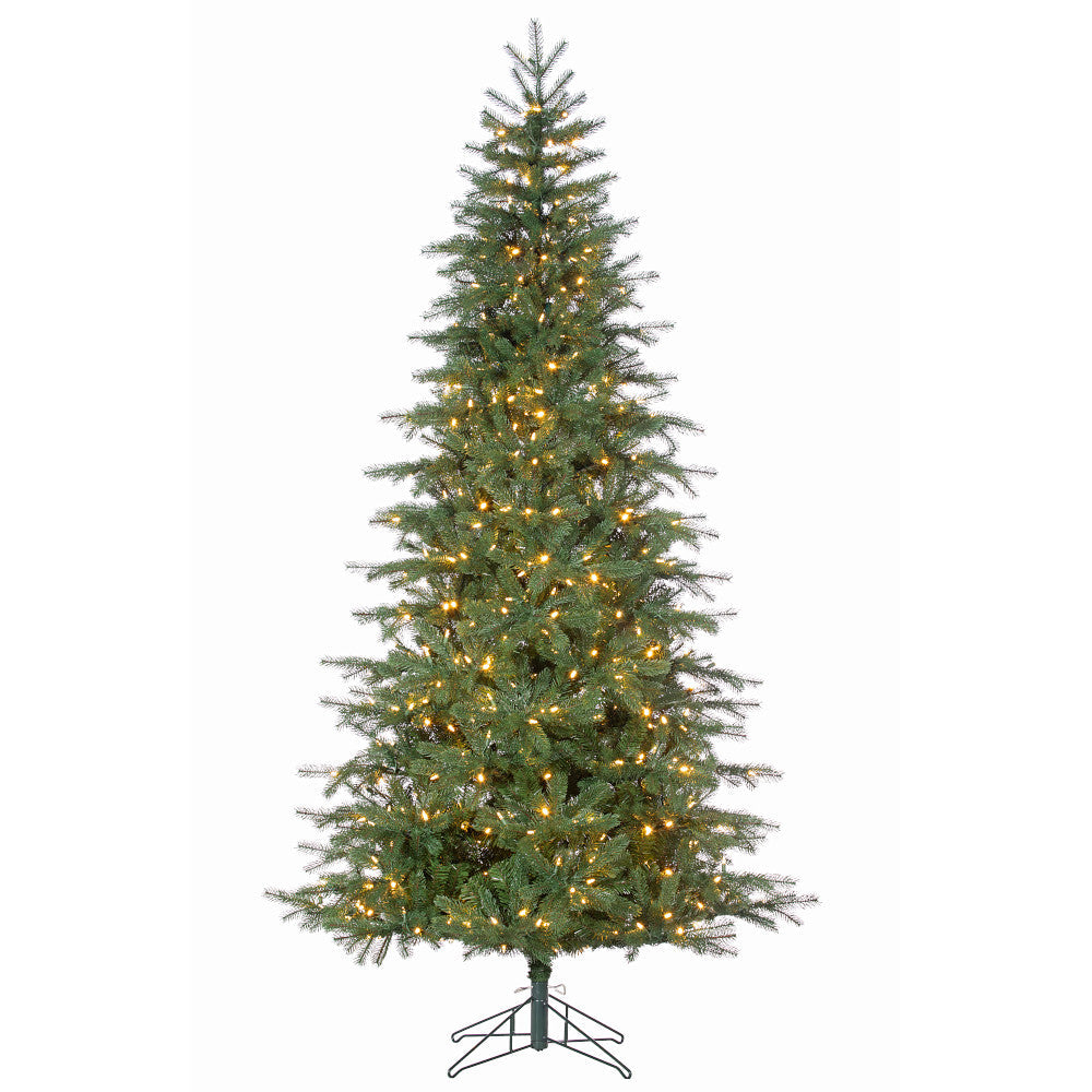 
                          Sapin Hollywood
                        