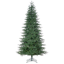 Sapin Hollywood