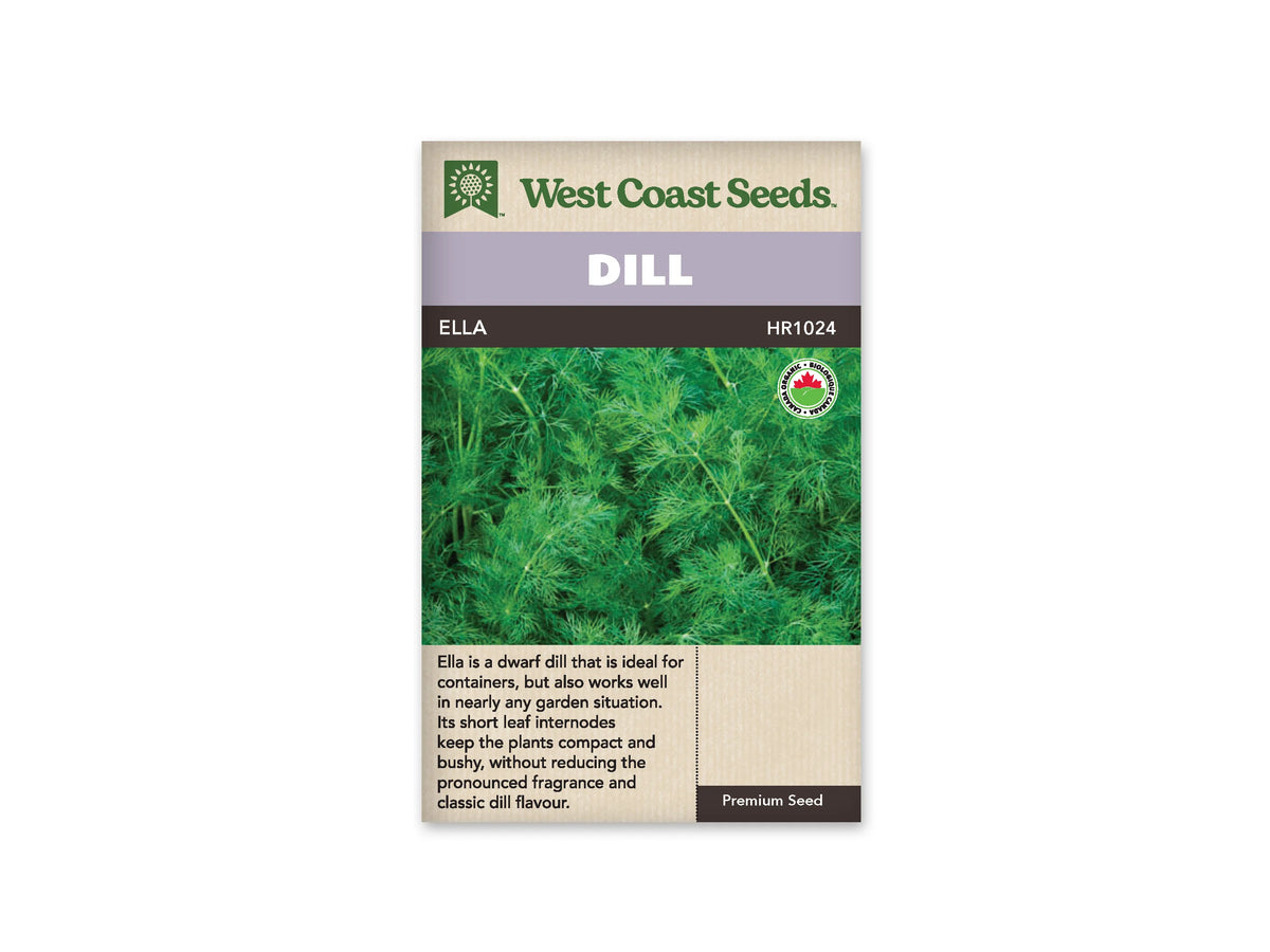 Sachet d’aneth Ella West Coast Seeds présenté de face sur fond blanc. La photographie montre une masse de feuilles vertes fines et très découpées, portées par des tiges dressées. Le bandeau mauve porte le nom DILL ELLA. Une description en anglais occupe la partie beige inférieure, avec un logo de certification biologique.