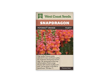 Sachet West Coast Seeds illustré par une photo de mufliers. Un épi de muflier orange corail est visible au premier plan. Les fleurs ont des nuances roses et une gorge jaune, avec des lèvres inférieures plus pâles. Des boutons verts teintés de rose se serrent au sommet. À l’arrière, d’autres fleurs semblables et du feuillage vert forment un fond flou autour de la tige centrale.