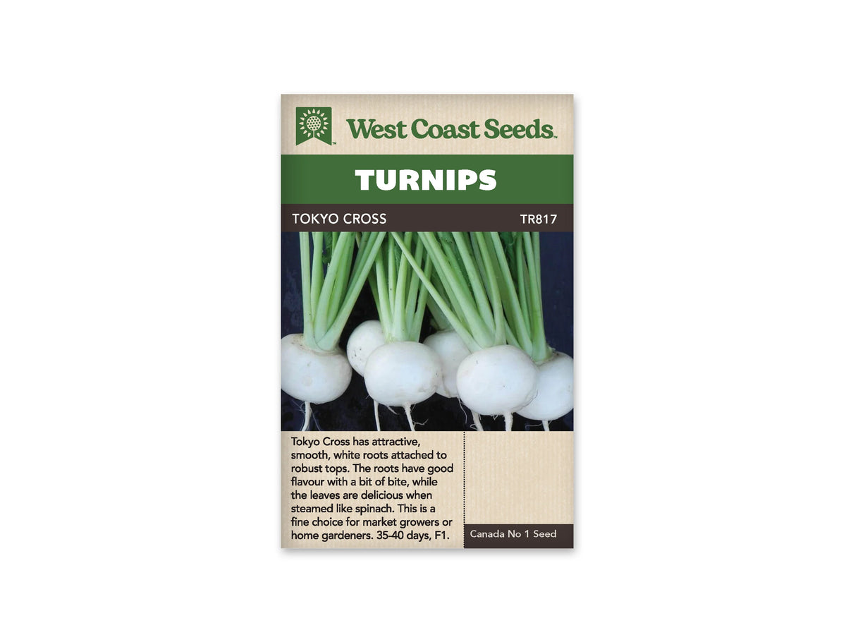 Sachet West Coast Seeds Tokyo Cross montrant six navets blancs regroupés sur un fond sombre. Les racines rondes portent de fines pointes et des pétioles verts dressés. La peau claire contraste avec les fanes. Le nom Tokyo Cross figure dans le bandeau brun, sous le grand titre blanc sur fond vert.