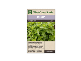 Sachet de semences West Coast Seeds portant les mentions Mint et Peppermint. La photo centrale montre une touffe de feuilles vertes, pointues et dentées, serrées sur de courtes tiges. Des jeunes pousses plus claires se détachent au sommet. Le nom apparaît sur un bandeau foncé, sous une bande mauve et le logo vert de la marque.
