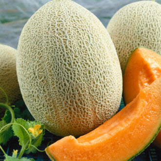 Un melon à écorce beige réticulée apparaît sur un plant, accompagné d’une portion coupée à chair orange. Des graines sont visibles dans le creux de la tranche. Des feuilles vertes et une petite fleur latérale entourent les fruits. La différence entre la surface maillée du melon entier et la face orange ouverte ressort dans la scène végétale.