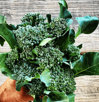 Organic 'Green Sprouting Calabrese' Broccoli Seeds by Gaia, product image prepared for Canadian gardeners.