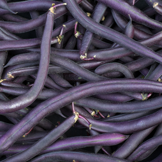 Amethyst Bean
