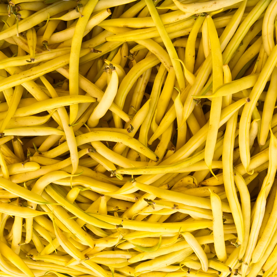 Roquencourt Butter Beans